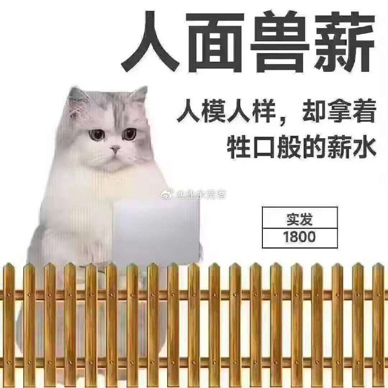 所谓伊人 在水一方