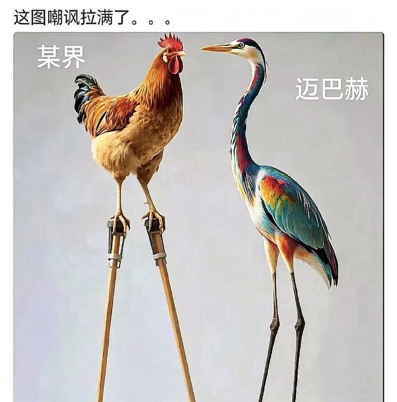 作家崔成浩