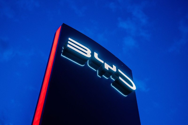 BYD Accused by Labor-Rights Group of Violations at Hungary Plant