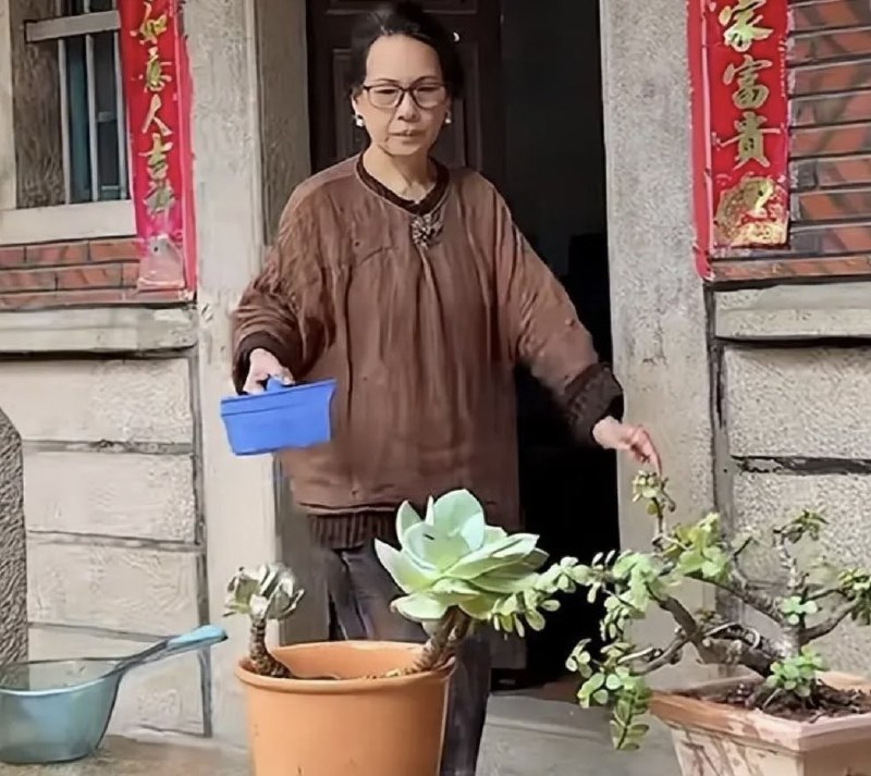 低等生物
