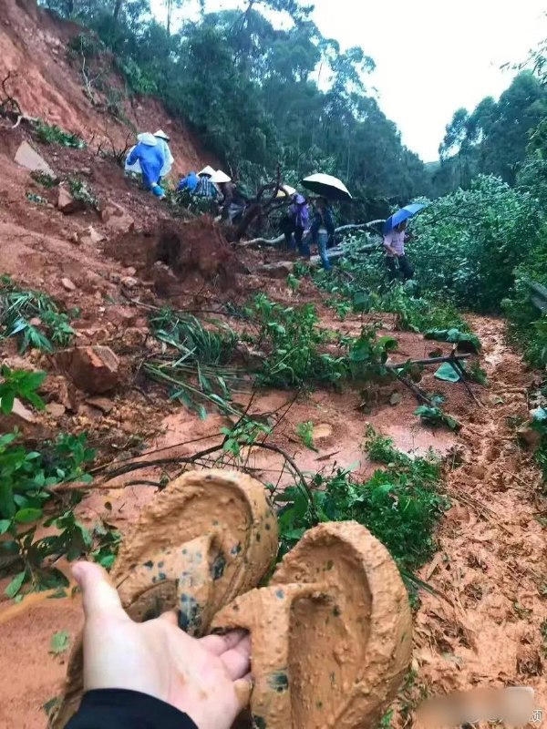 【广西横州洪水】7月8日，广西横州镇龙乡有当地网友发帖求助，称洪灾导致全乡多个村屯失联，目前具体伤亡和受灾情况仍不清楚