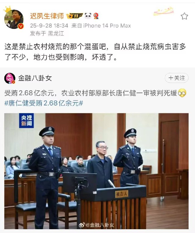 新闻焦点追踪（主编