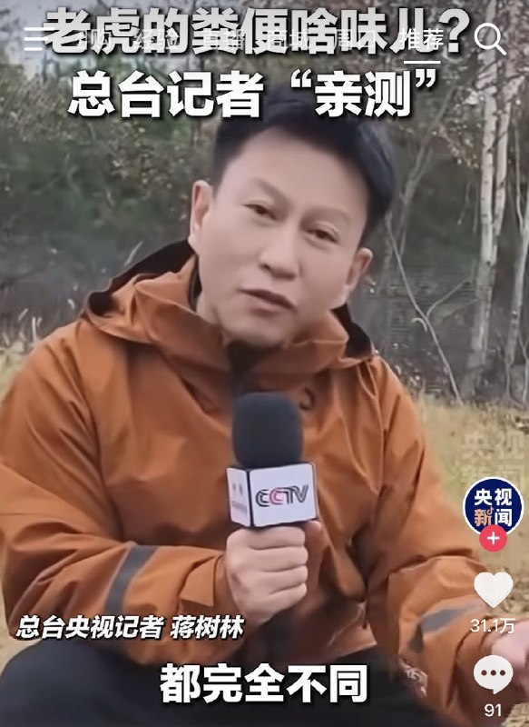 林恩&Lynn