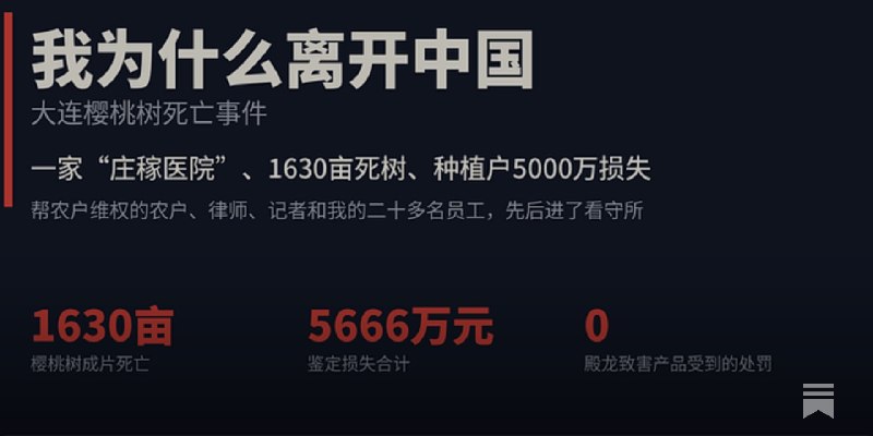 打假人王海：我为什么离开中国