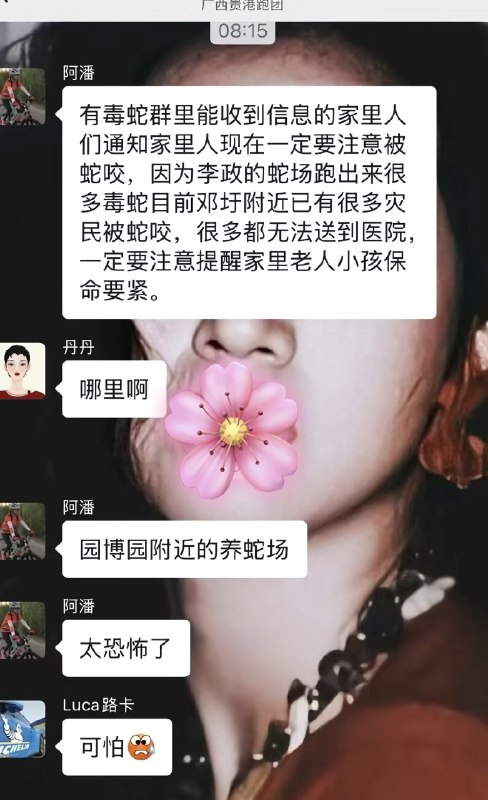 作家崔成浩