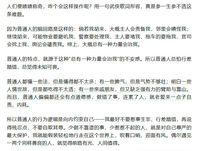 失业养猫中