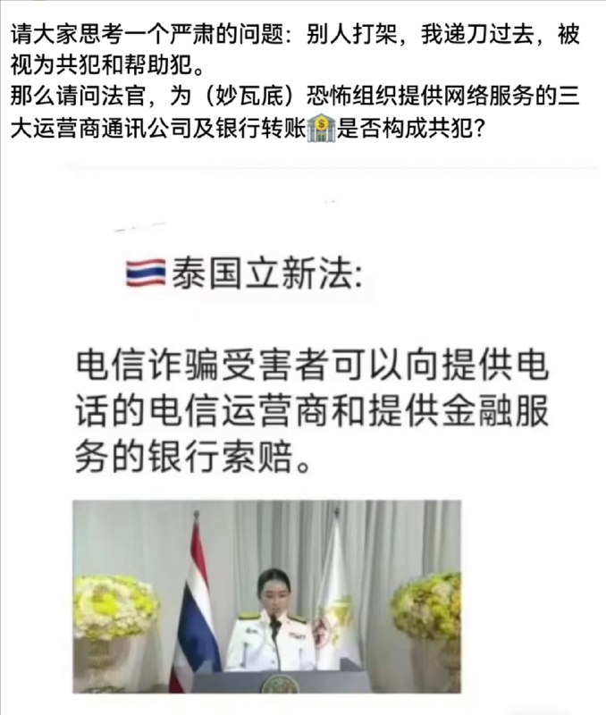 新闻焦点追踪（主编