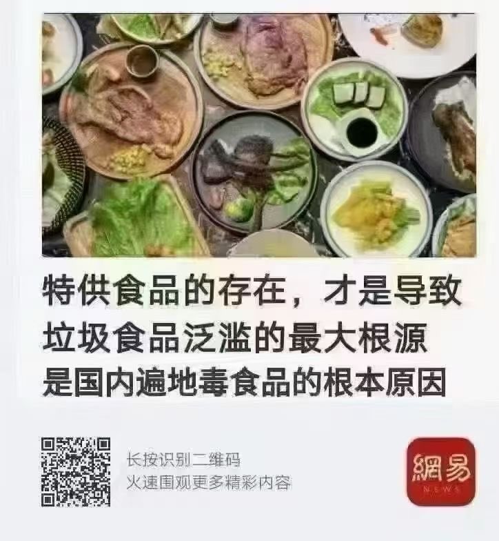 坏球时报