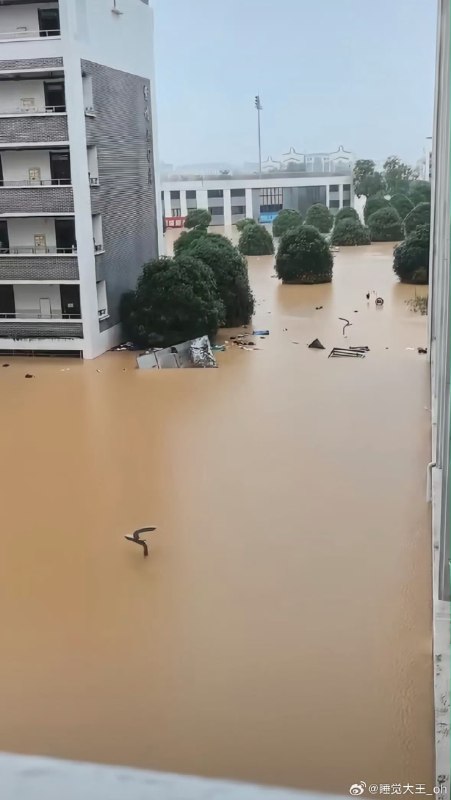 魔都老猿