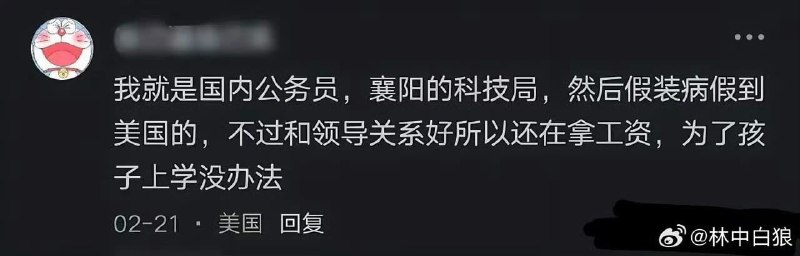 王局拍案，某IP美国的网友自曝