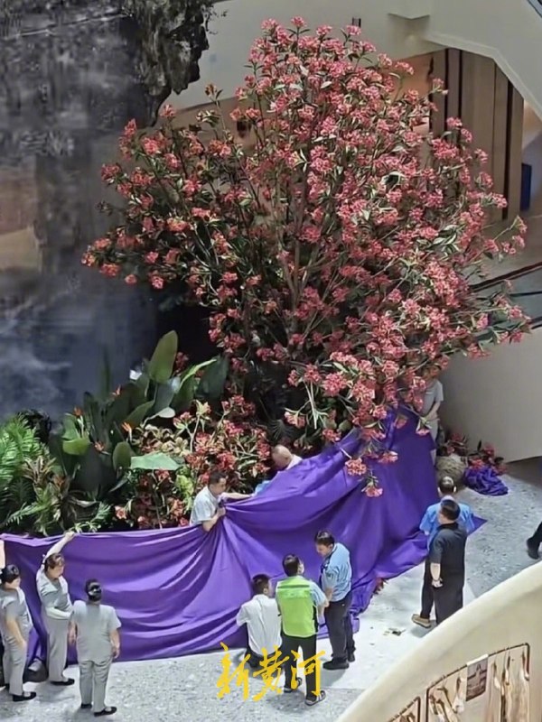 ⁠【 #警方回应西安一商场发生坠楼事件 