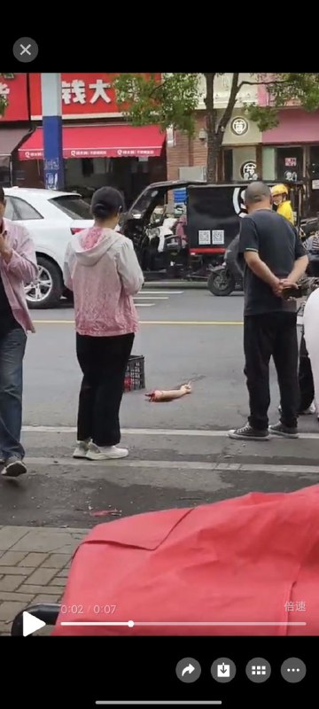 #网传 橡树湾 二期刚才发生惨剧 夫妻 吵架 男的老婆 胳膊 砍掉了，自己 #跳楼 了