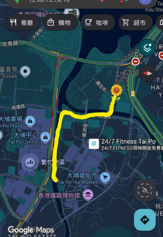 星期日香港大埔五級火慘案獻花隊實時龍尾  14
