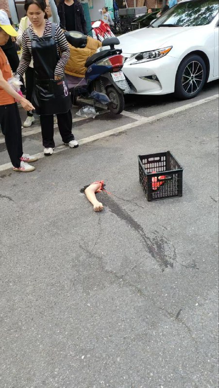 #网传 橡树湾 二期刚才发生惨剧 夫妻 吵架 男的老婆 胳膊 砍掉了，自己 #跳楼 了