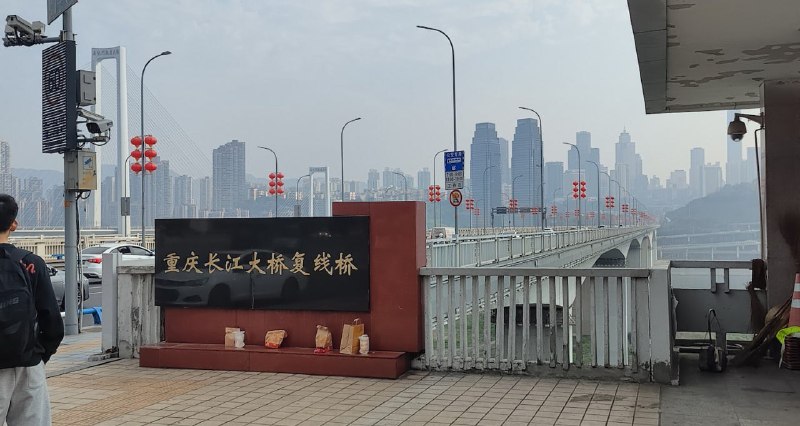 重庆长江大桥，又称“胖猫桥”，4月11日是胖猫跳桥忌日 #重庆 #维稳 #胖猫视频1、2，便衣警察十步一哨五步一岗，还有警车和摩托骑警在桥面巡逻